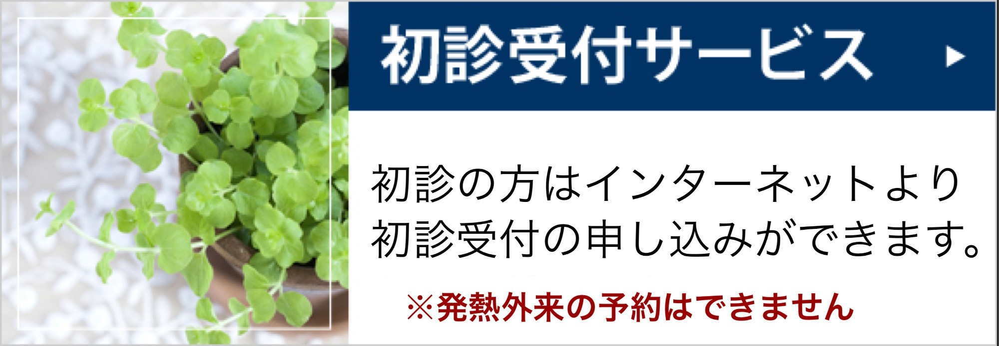 豊田駅　小林医院　予約